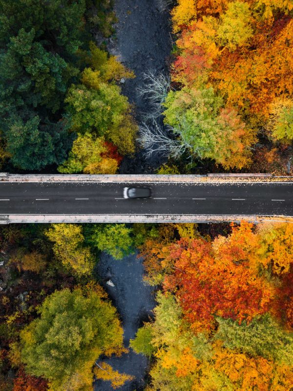 carretera otoño sostenibilidad